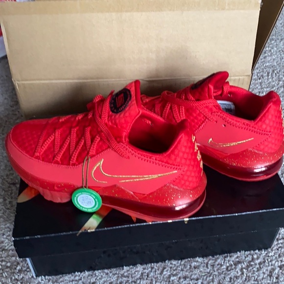 Nike Other - Nike lebron 17 with heel characters.